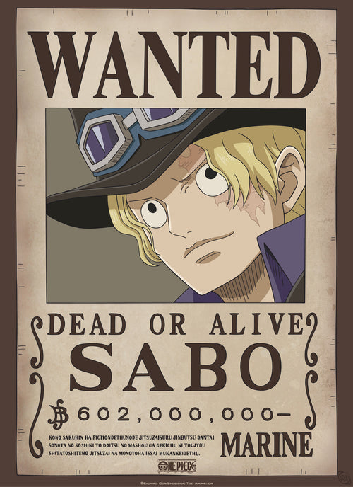 Gbeye Gbydco260 One Piece Wanted Poster 38x52cm | Yourdecoration.co.uk