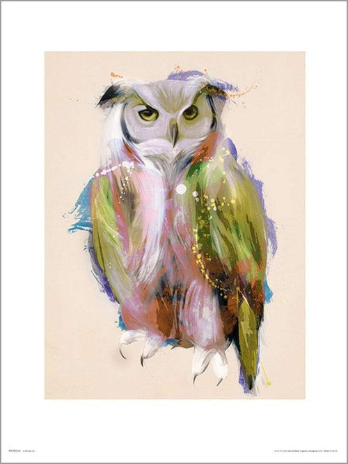 GBeye Owl Paint Art Print | Yourdecoration.co.uk