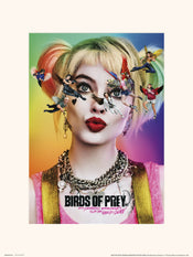 Grupo Erik Birds Of Prey Dazed And Confused Art Print 30x40cm | Yourdecoration.co.uk