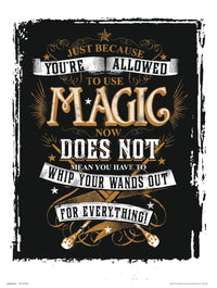 Grupo Erik Harry Potter Magic Art Print 30x40cm | Yourdecoration.co.uk