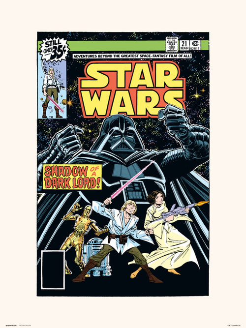 Grupo Erik Star Wars 21 Shadow Of A Dark Lord Art Print 30x40cm | Yourdecoration.co.uk