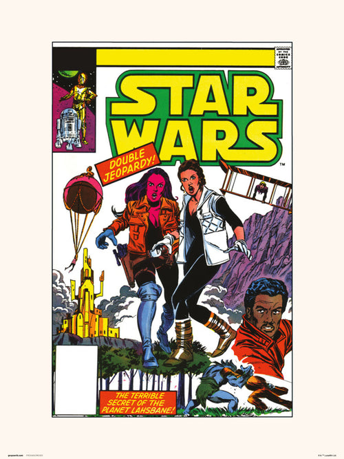 Grupo Erik Star Wars 73 Lahsbane Art Print 30x40cm | Yourdecoration.co.uk