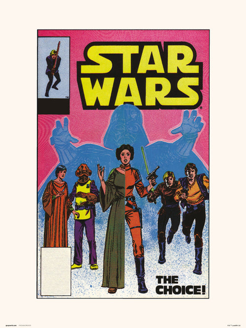 Grupo Erik Star Wars 90 The Choice Art Print 30x40cm | Yourdecoration.co.uk