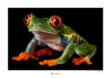 Komar Red eyed Treefrog Art Print 70x50cm | Yourdecoration.co.uk