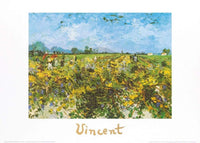 Vincent Van Gogh The Green Vineyard Art Print 70x50cm | Yourdecoration.co.uk