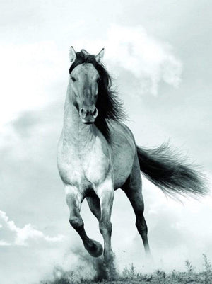Blonde Attitude Mane in the wind Art Print 60x80cm | Yourdecoration.co.uk