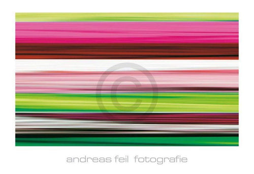 Andreas Feil Fotografie II Art Print 138x95cm | Yourdecoration.co.uk