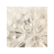 Adam Brock On the Breeze Art Print 51x51cm | Yourdecoration.co.uk