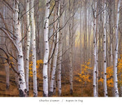 Charles Cramer Aspen in Fog Art Print 76x66cm | Yourdecoration.co.uk