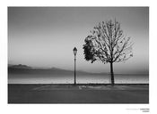 Christian Coigny Lutry Lac Lemon Art Print 80x60cm | Yourdecoration.co.uk