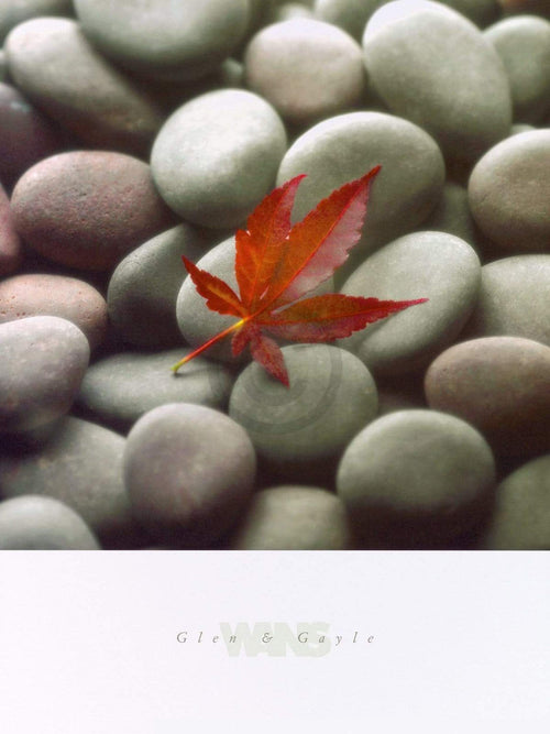 Glen & Gale Wans Leaf on Stone Art Print 45x61cm | Yourdecoration.co.uk