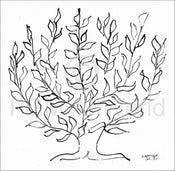 Henri Matisse Le platane Art Print 100x100cm | Yourdecoration.co.uk
