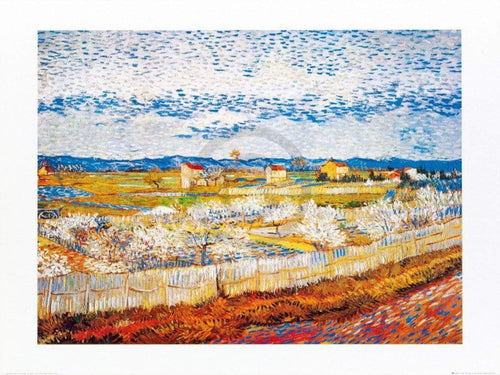 Vincent Van Gogh Pesco in fiore Art Print 80x60cm | Yourdecoration.co.uk