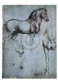 Leonardo Da Vinci Studio di cavalli Art Print 35x50cm | Yourdecoration.co.uk