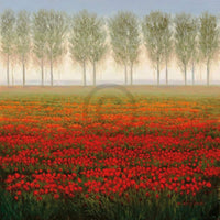 Park Morning Mist Art Print 68x68cm | Yourdecoration.co.uk