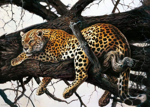 Renato Casaro Laziness Art Print 70x50cm | Yourdecoration.co.uk