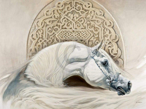 Renato Casaro Arabian Pride Art Print 80x60cm | Yourdecoration.co.uk