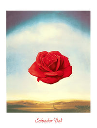Salvador Dali Rose meditative Art Print 60x80cm | Yourdecoration.co.uk