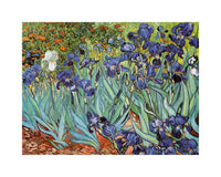 Vincent Van Gogh Iris Art Print 30x24cm | Yourdecoration.co.uk