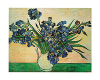 Vincent Van Gogh Iris Strauss, 1890 Art Print 50x40cm | Yourdecoration.co.uk