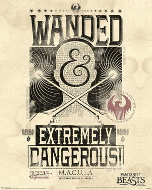 Pyramid Fantastic Beasts Extremely Dangerous Poster 40x50cm | Yourdecoration.co.uk