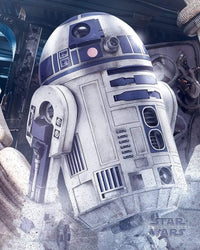 Pyramid Star Wars the Last Jedi R2 D2 Droid Poster 40x50cm | Yourdecoration.co.uk
