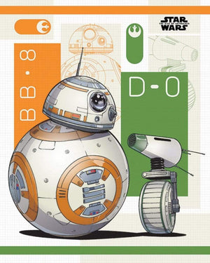 Pyramid Star Wars The Rise of Skywalker BB 8 and D 0 Poster 40x50cm | Yourdecoration.co.uk