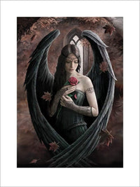Pyramid Anne Stokes Angel Rose Art Print 60x80cm | Yourdecoration.co.uk