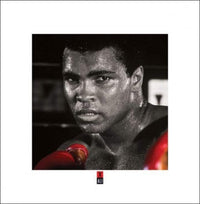 Pyramid Muhammad Ali Boxing Gloves Art Print 40x40cm | Yourdecoration.co.uk