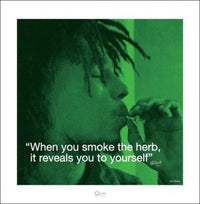 Pyramid Bob Marley iQuote Herb Art Print 40x40cm | Yourdecoration.co.uk