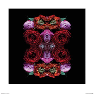 Pyramid Alyson Fennell Paradise of Petals Art Print 60x60cm | Yourdecoration.co.uk
