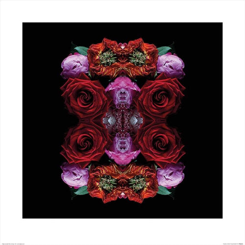 Pyramid Alyson Fennell Paradise of Petals Art Print 60x60cm | Yourdecoration.co.uk