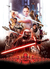 Komar Star Wars EP9 Movie Poster Rey Fotobehang 184x254cm 4 delig | Yourdecoration.co.uk