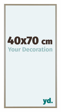 Austin Aluminium Photo Frame 40x70cm Champagne Front Size | Yourdecoration.co.uk