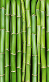 Dimex Bamboo Wall Mural 150x250cm 2 Panels | Yourdecoration.co.uk