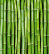 Dimex Bamboo Wall Mural 225x250cm 3 Panels | Yourdecoration.co.uk