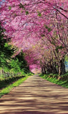 Dimex Blossom Alley Wall Mural 150x250cm 2 Panels | Yourdecoration.co.uk
