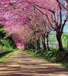 Dimex Blossom Alley Wall Mural 225x250cm 3 Panels | Yourdecoration.co.uk