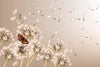 Dimex Dandelions and Butterfly Wall Mural 375x250cm 5 Panels | Yourdecoration.co.uk