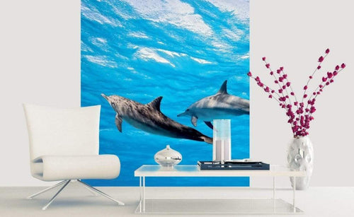 Dimex Dolphins Wall Mural 225x250cm 3 Panels Ambiance | Yourdecoration.co.uk