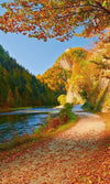 Dimex Dunajec River Wall Mural 150x250cm 2 Panels | Yourdecoration.co.uk
