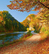 Dimex Dunajec River Wall Mural 225x250cm 3 Panels | Yourdecoration.co.uk