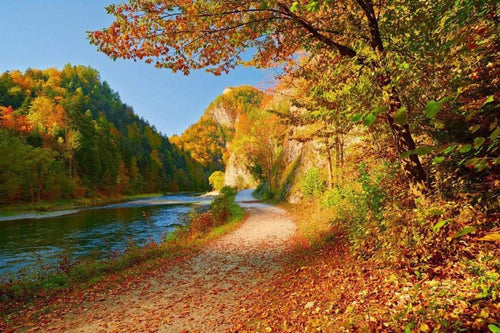 Dimex Dunajec River Wall Mural 375x250cm 5 Panels | Yourdecoration.co.uk