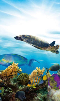 Dimex Fish Wall Mural 150x250cm 2 Panels | Yourdecoration.co.uk