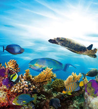 Dimex Fish Wall Mural 225x250cm 3 Panels | Yourdecoration.co.uk