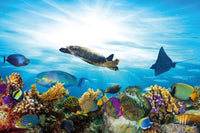 Dimex Fish Wall Mural 375x250cm 5 Panels | Yourdecoration.co.uk