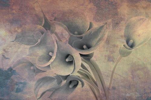 Dimex Flower Abstract I Wall Mural 375x250cm 5 Panels | Yourdecoration.co.uk