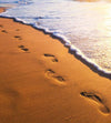 Dimex Footsteps Wall Mural 225x250cm 3 Panels | Yourdecoration.co.uk