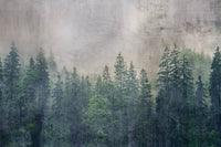 Dimex Forest Abstract Wall Mural 375x250cm 5 Panels | Yourdecoration.co.uk