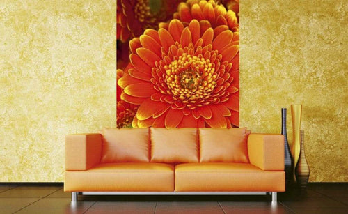 Dimex Gerbera Wall Mural 150x250cm 2 Panels Ambiance | Yourdecoration.co.uk